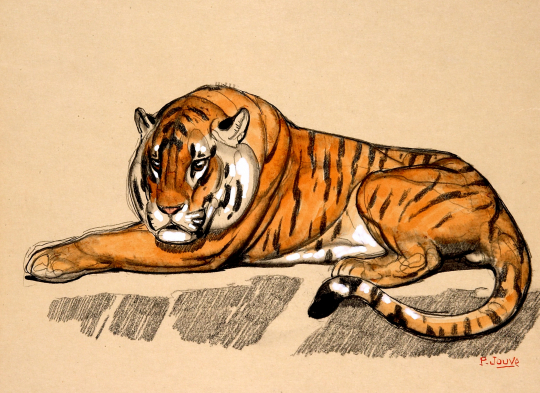 Paul JOUVE (1878-1973) - Tigre couché sur un rocher, vers 1925